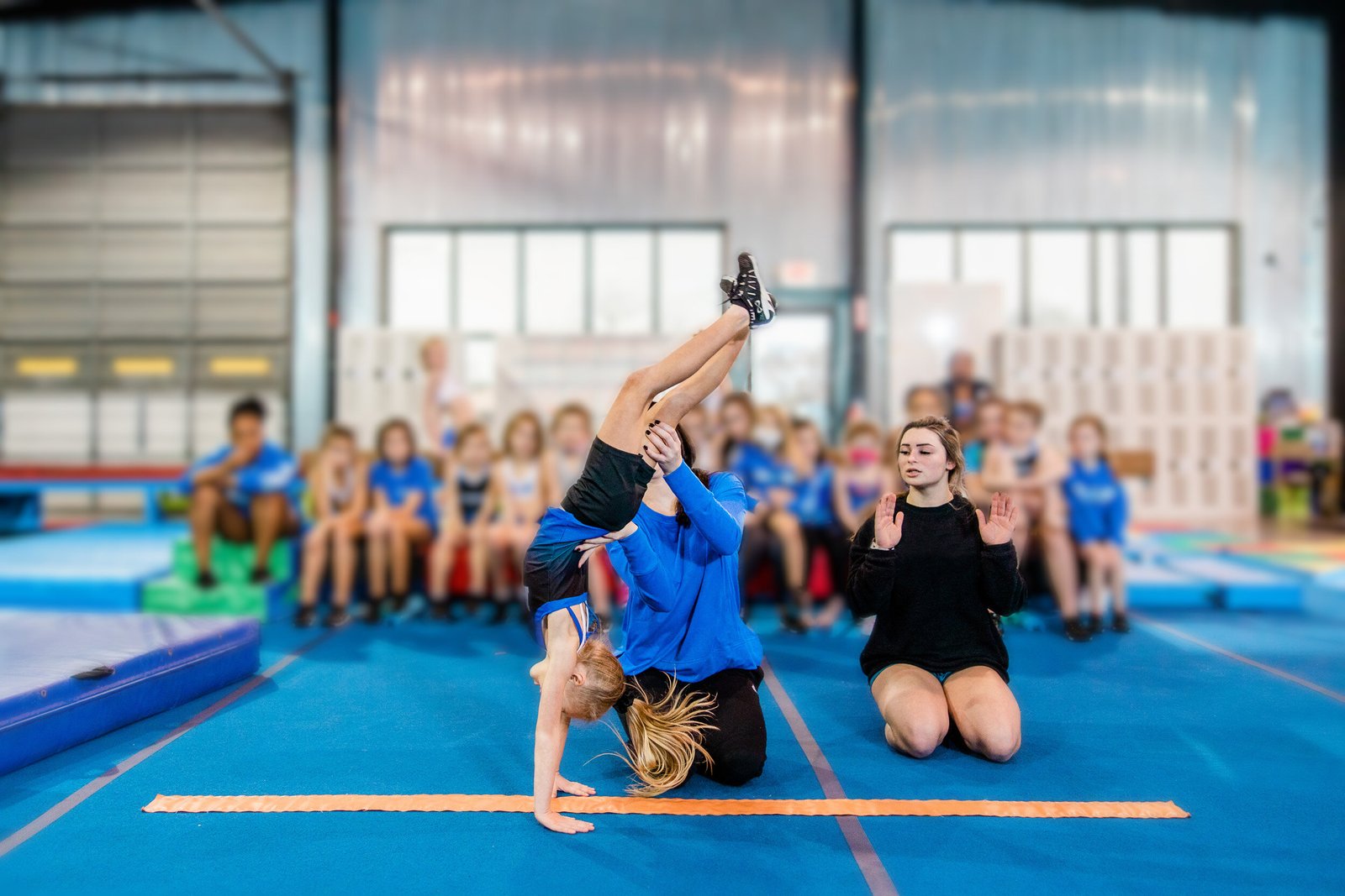 All-stars team at ACF Florence