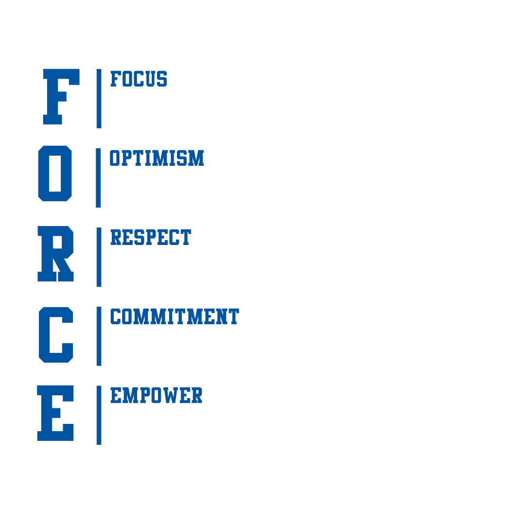 FORCE (1) FORCE Values